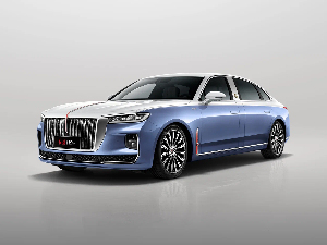 Коврики EVA для Hongqi H9+ I (седан / 50TD) 2020 - Н.В.